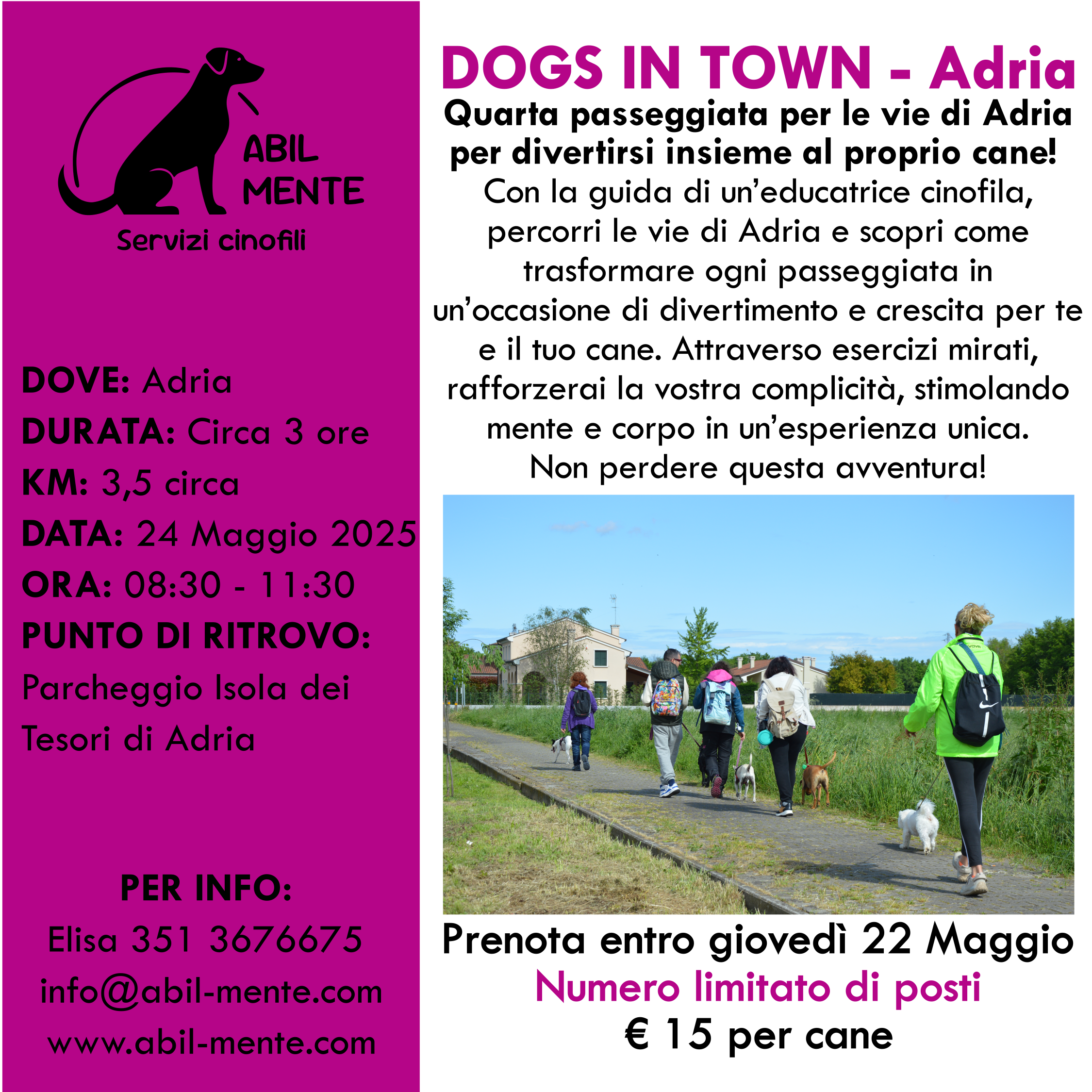 Dogs in Town - Adria - Quarta edizione