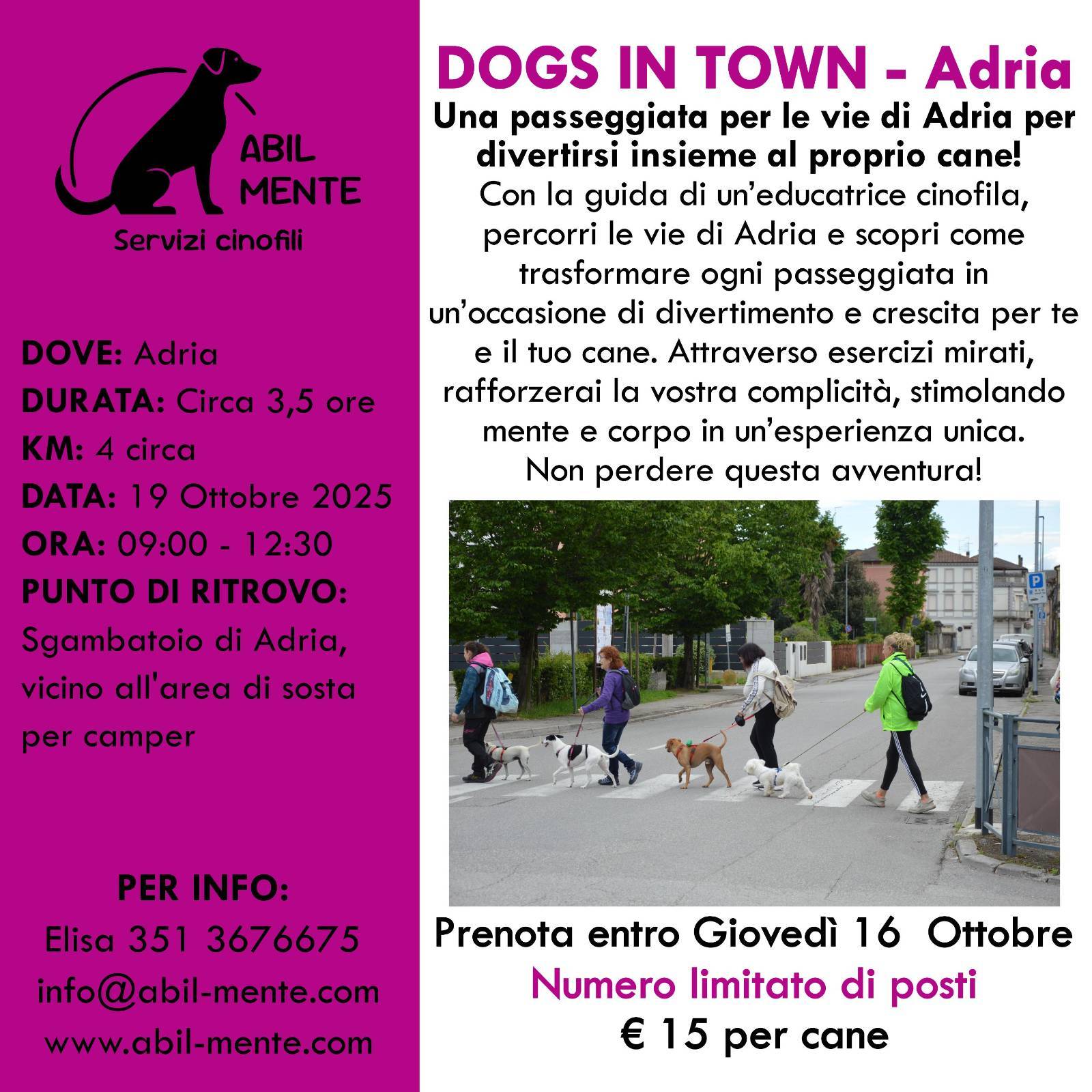 Dogs in Town - Adria - Nona edizione