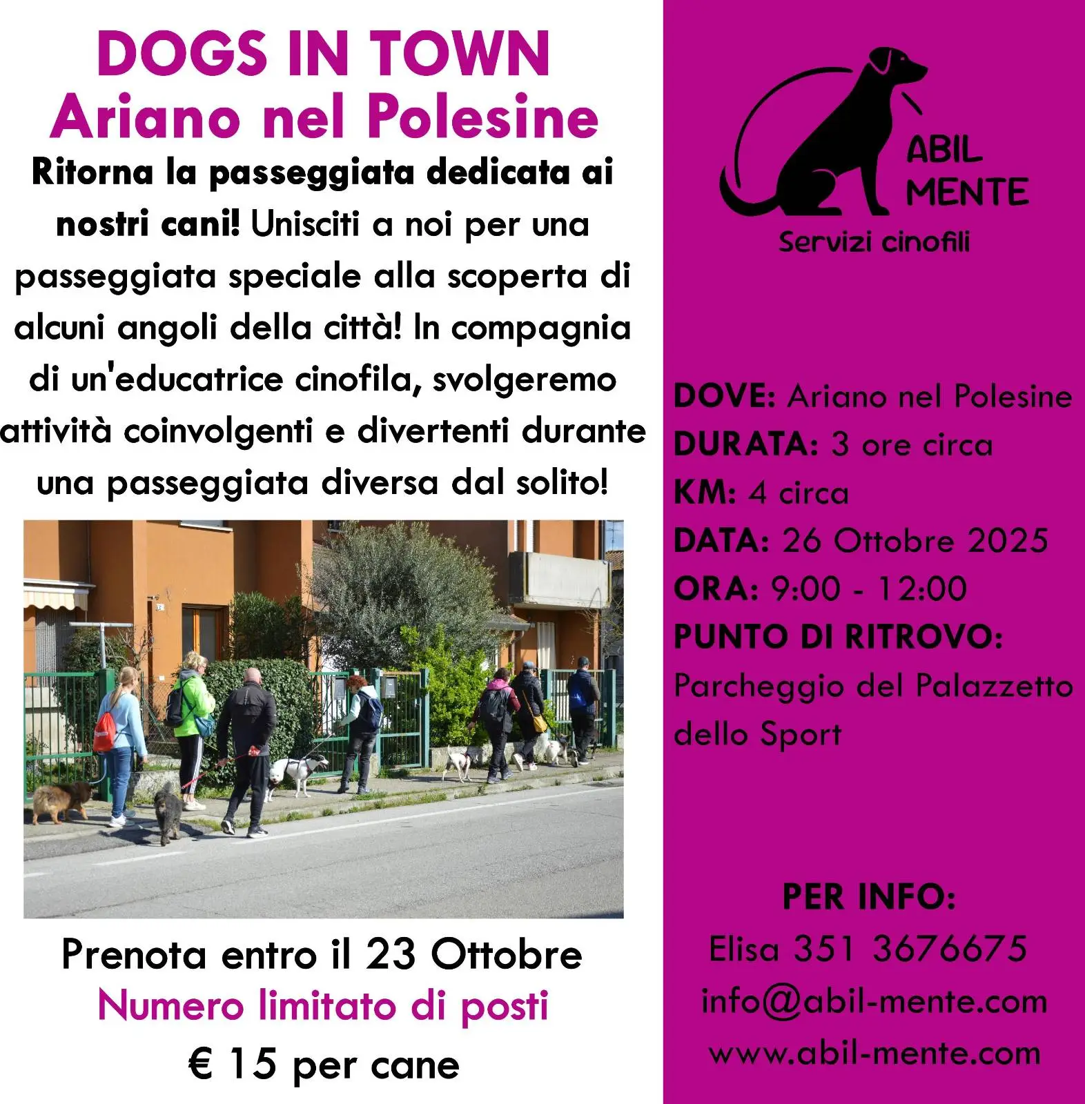 Locandina Dogs in Town - Ariano nel Polesine - Seconda edizione