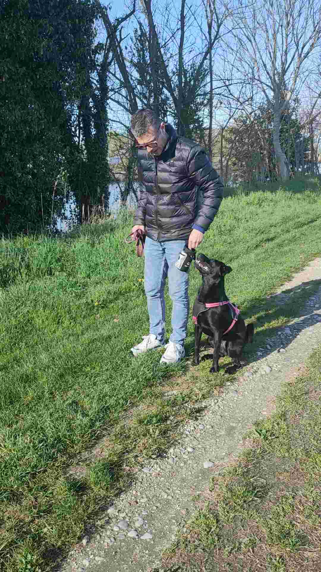 Educazione cinofila in Artessura ad Adria