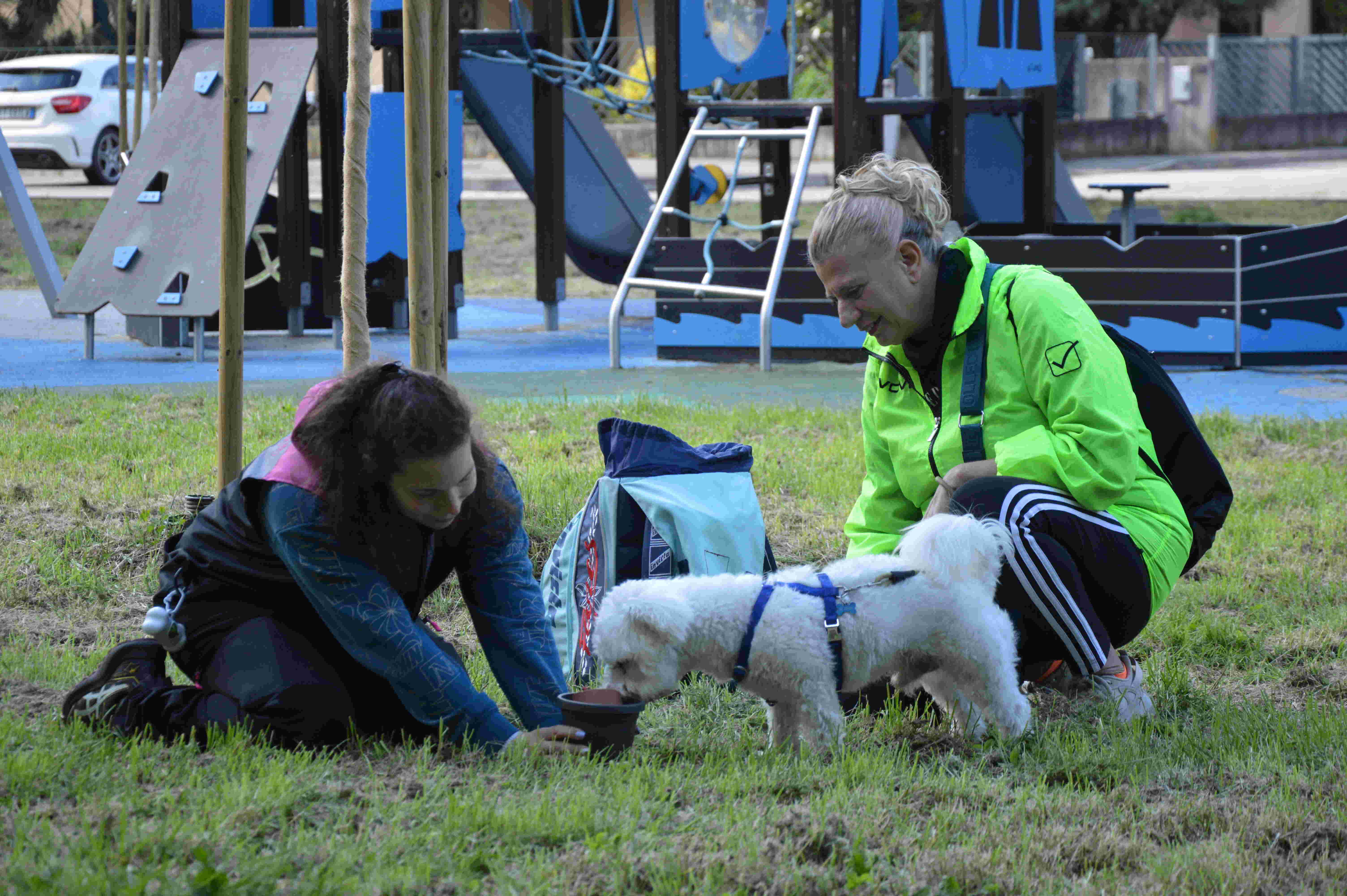 Educazione cinofila nel parco Baden Powell ad Adria