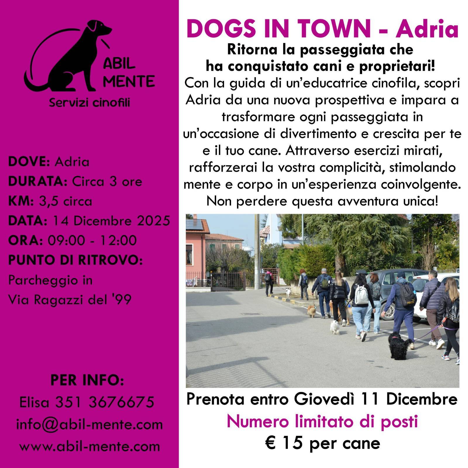 Dogs in Town - Adria - Undicesima edizione