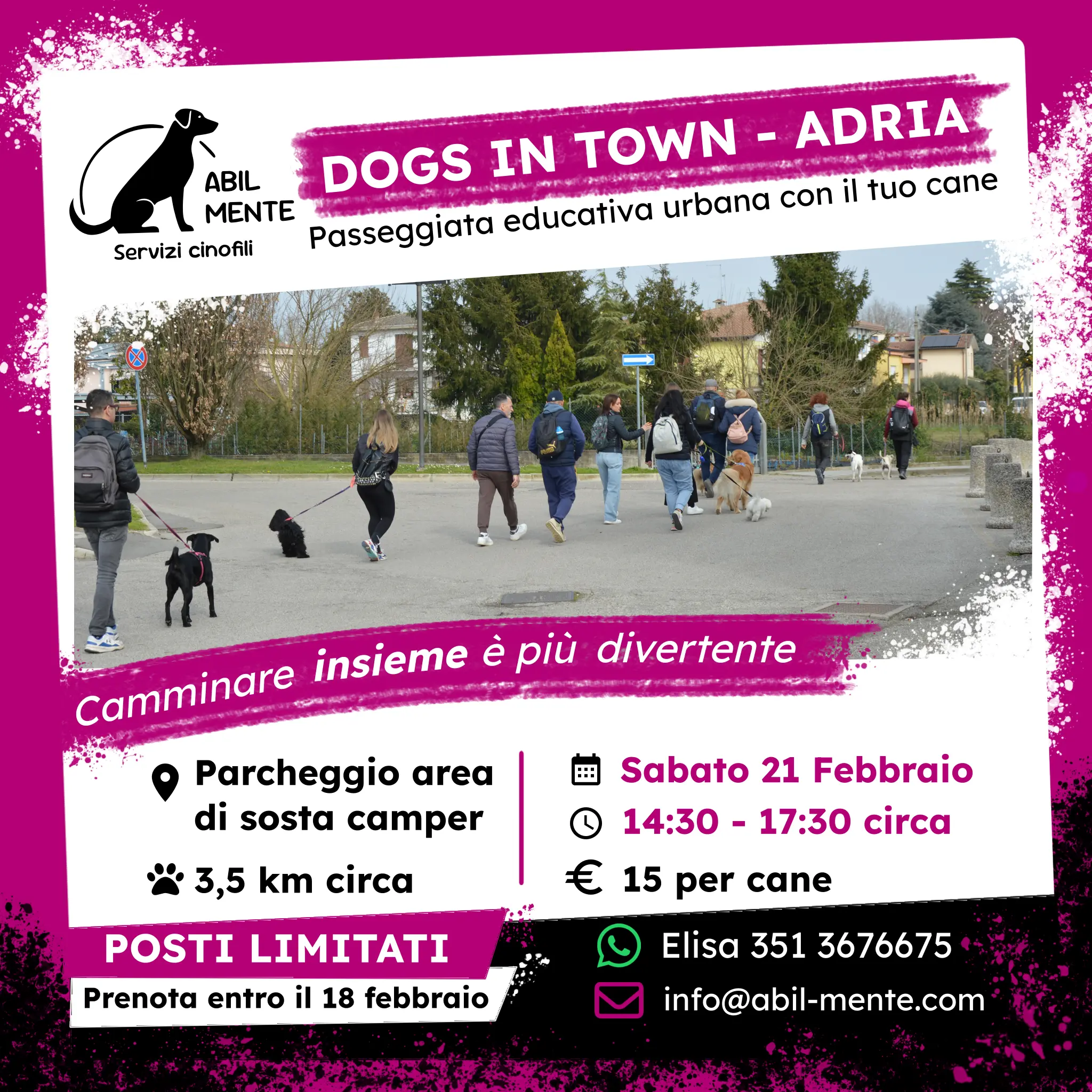 Dogs in Town - Adria - Dodicesima edizione