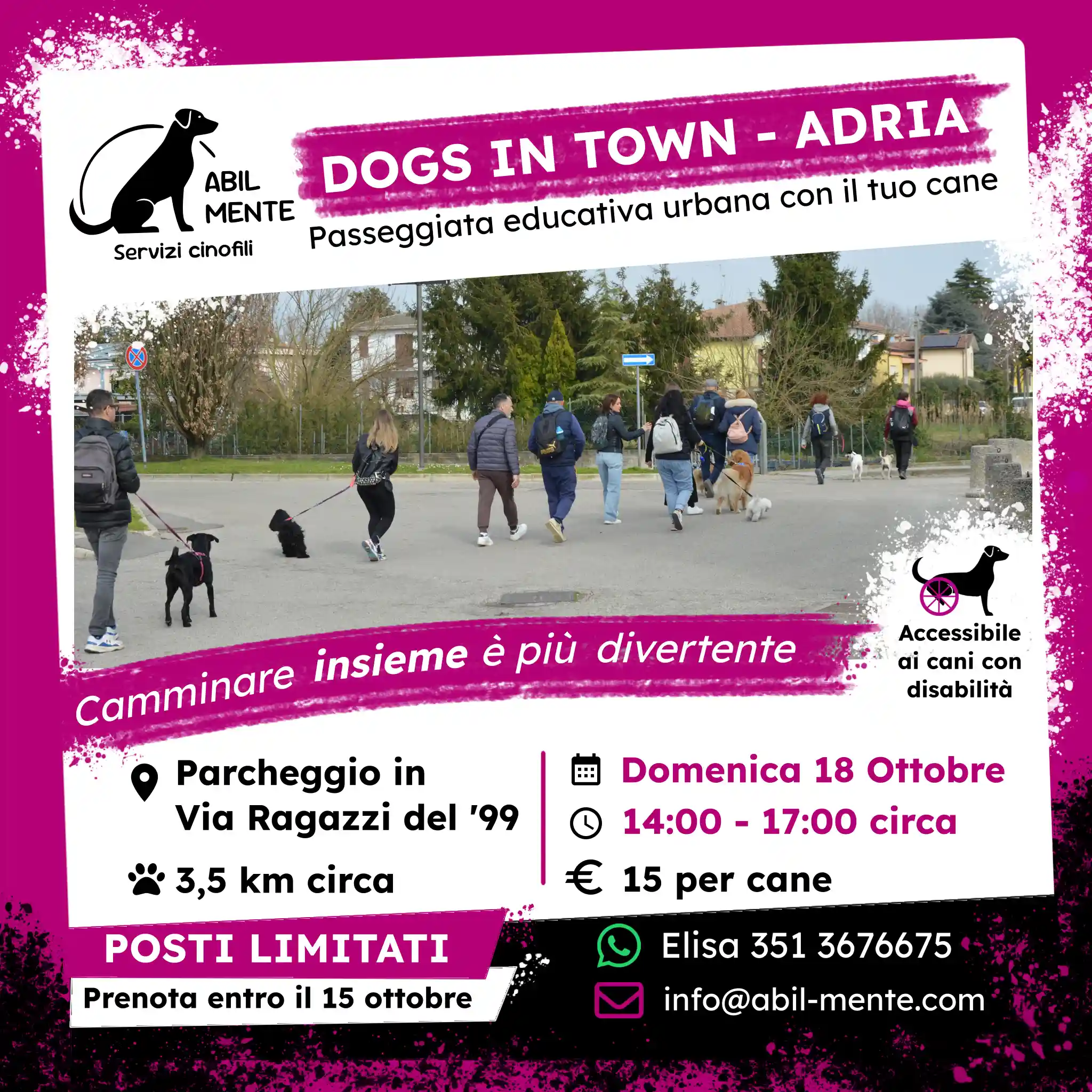 Dogs in Town - Adria - Diciottesima edizione
