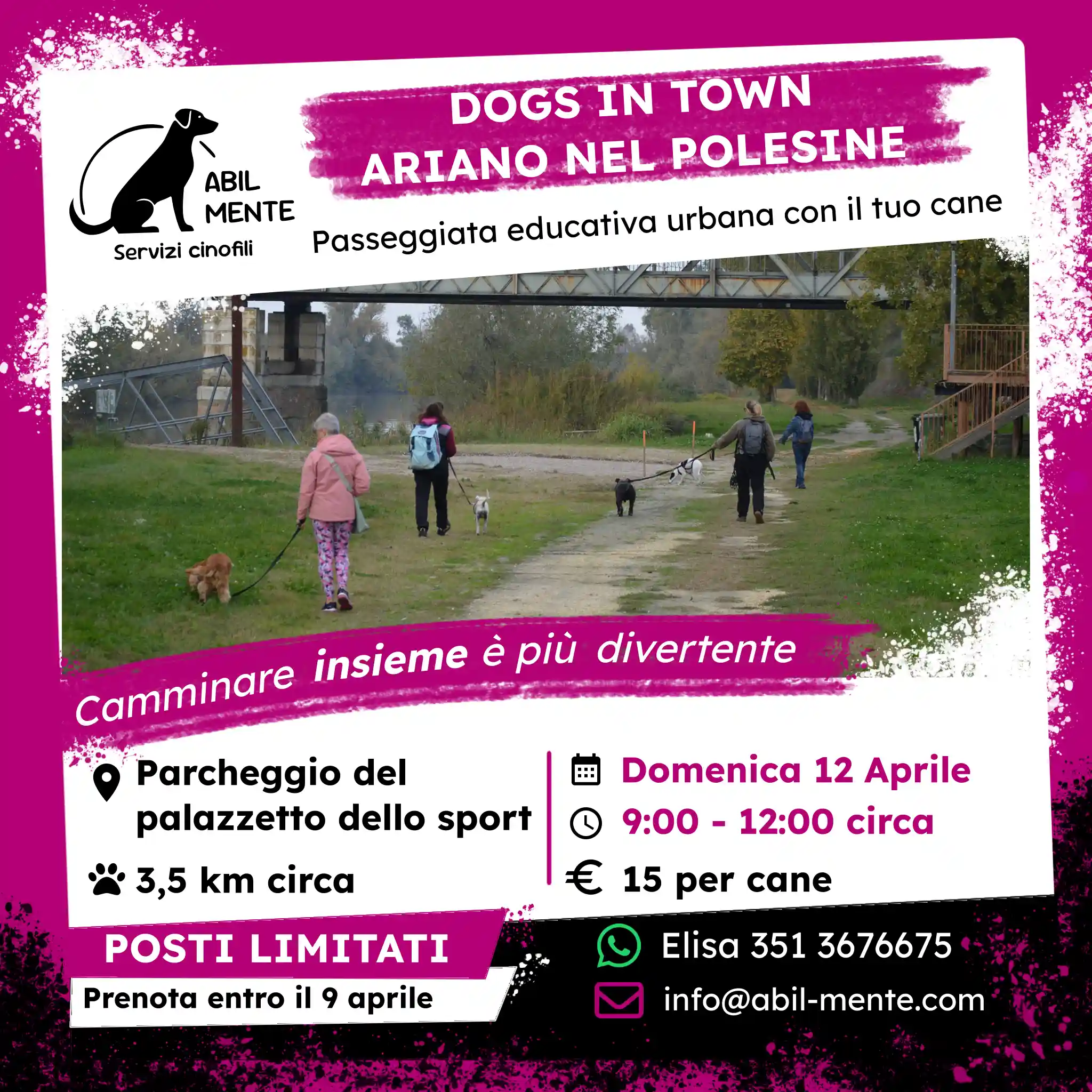 Dogs in Town - Ariano nel Polesine - Terza edizione