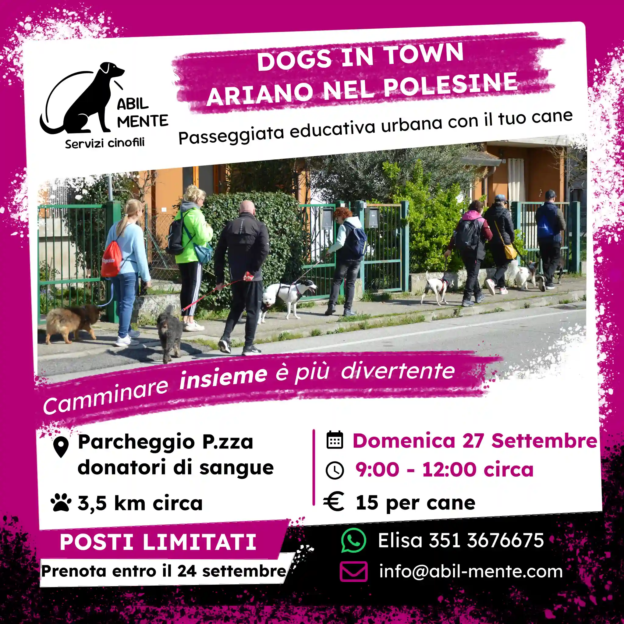 Dogs in Town - Ariano nel Polesine - Quarta edizione