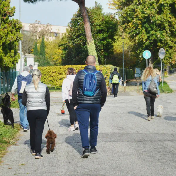Gruppo di partecipanti con i loro cani durante un evento Dogs in Town